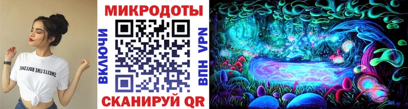 купить Дыгулыбгей Галлюциногенные грибы Psilocybe