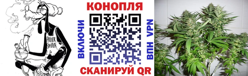 Бошки марихуана сатива  ссылка на мегу   Дыгулыбгей 